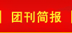 团刊简报