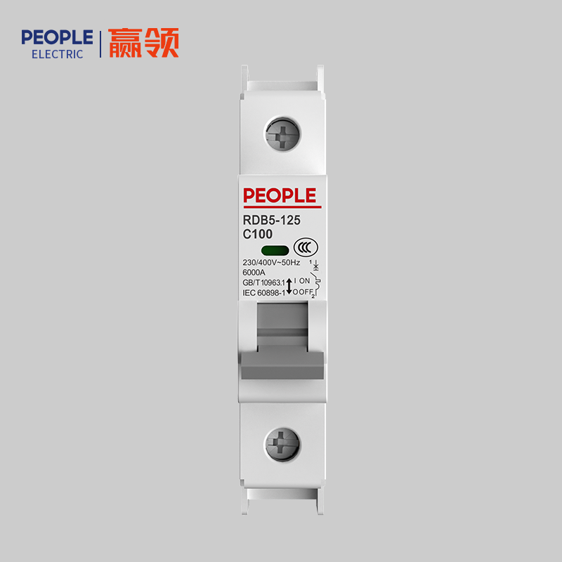 人民电器RDB5-125系列小型断路器 